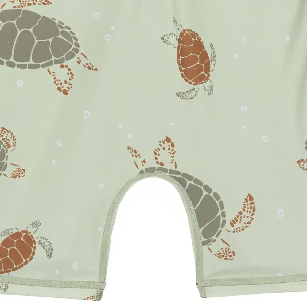 Toddler Boys Turtle Rashguard