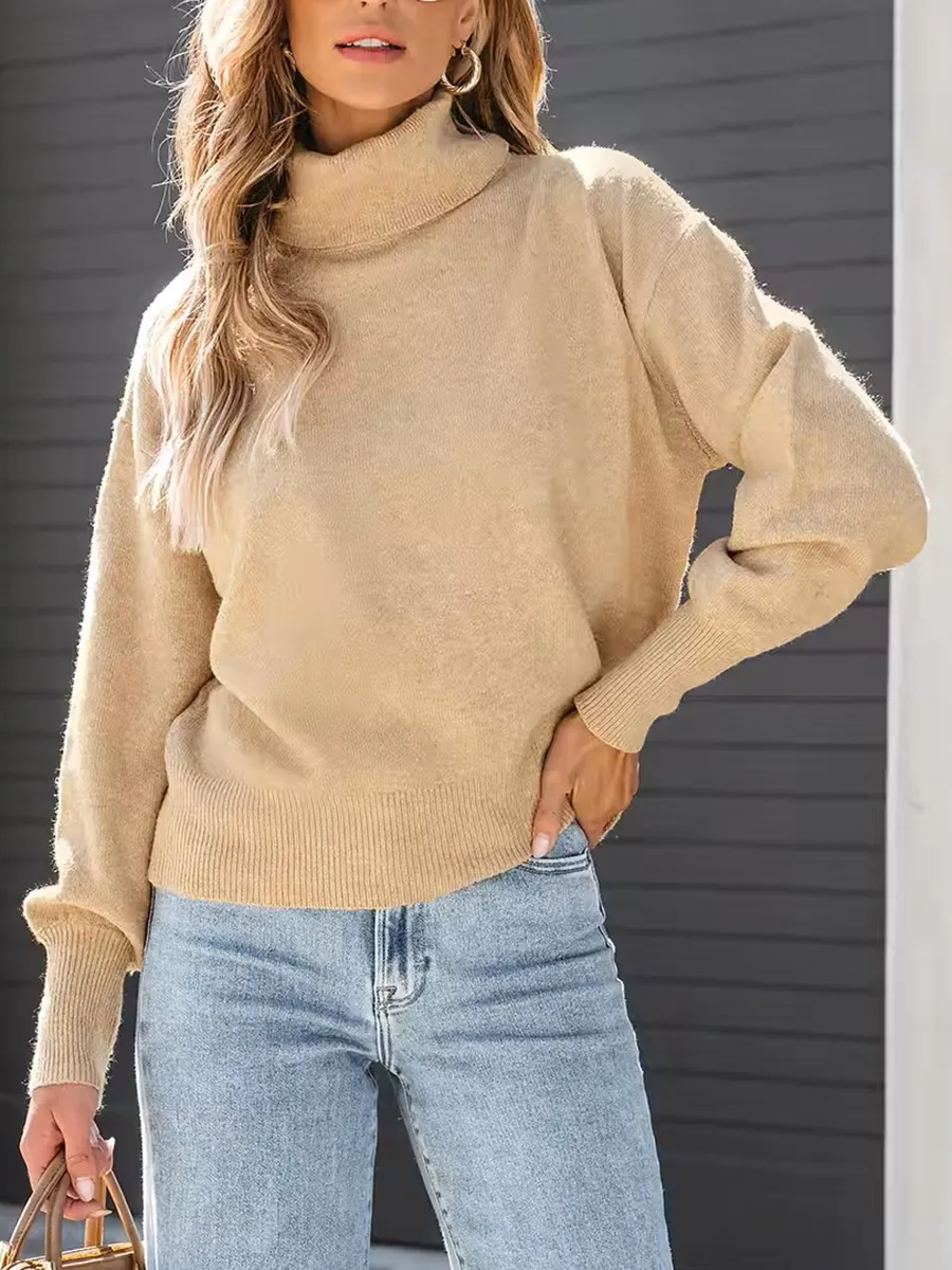 Women's Cozy turtleneck sweater